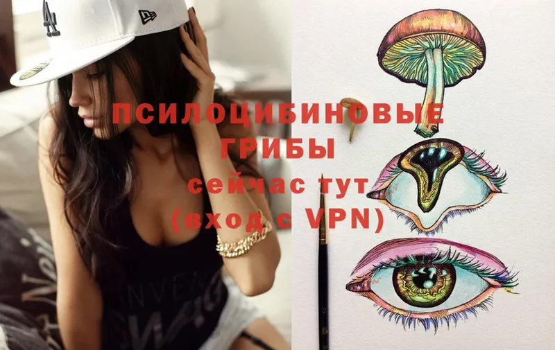 Галлюциногенные грибы Magic Shrooms  Камбарка 